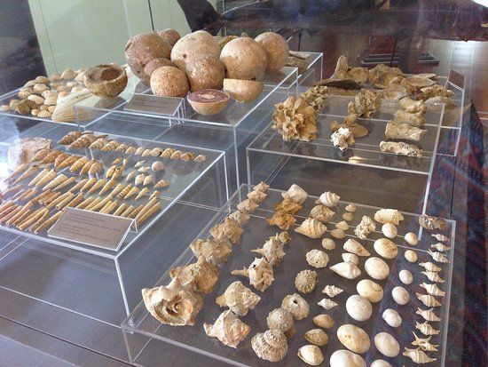 Musée de la mer Thalassa